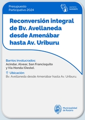 Reconversión integral de Bv. Avellaneda desde Amenábar hasta Av. Uriburu - Distrito Sudoeste.jpg