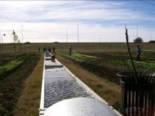 P6 Fortalecimiento del sistema de Agricultura Urbana. Centro Agroecológico Rosario - Distrito Sur