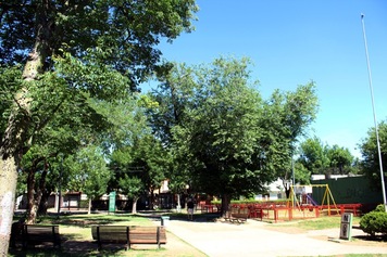 Plazas Lomas de Alberdi, Poeta de Parque Field, Ombú de Rucci y playón de La Cerámica 