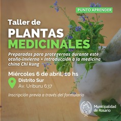 Talleres de Huerta, Medicinales, de Alimentación Saludable